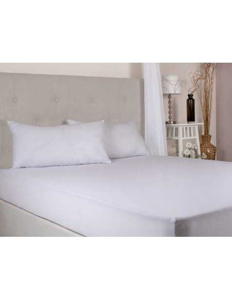 Capa de Rizo Aguilar