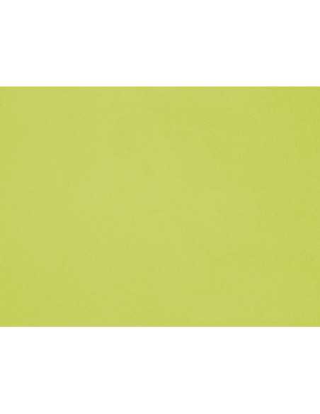 Toalha microfibra verde | Toalha piscina ou academia | Revitex online