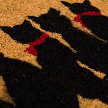 Felpudo de coco Cats | Felpudo entrada goma para hogar | Revitex 2