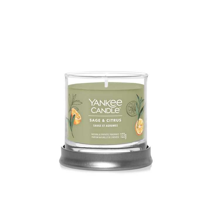Vela Yankee Candle Sage & Citrus Small | Vela aromática