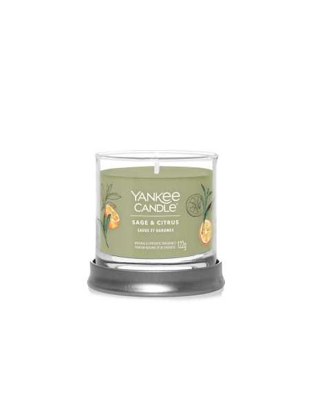 Vela Yankee Candle Sage & Citrus Small | Vela aromática