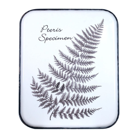 OFERTA *adorno pared