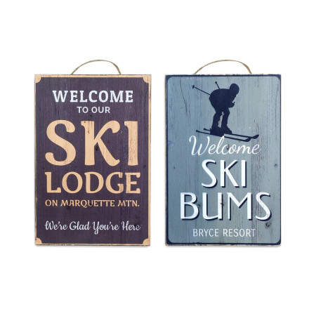 OFERTA *placa pared ski
