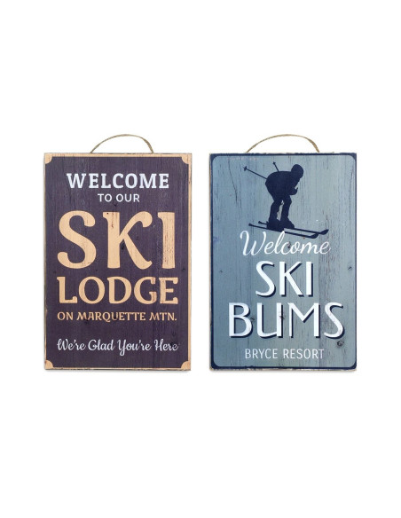 OFERTA *placa pared ski