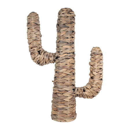 OFERTA *cactus hoja de banana med.