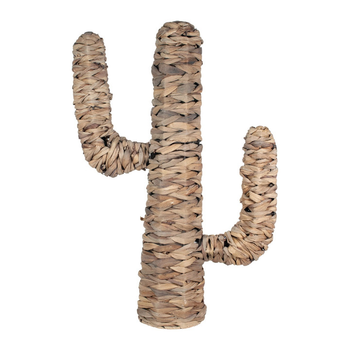 OFERTA *cactus hoja de banana med.