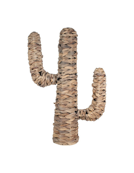 OFERTA *cactus hoja de banana med.