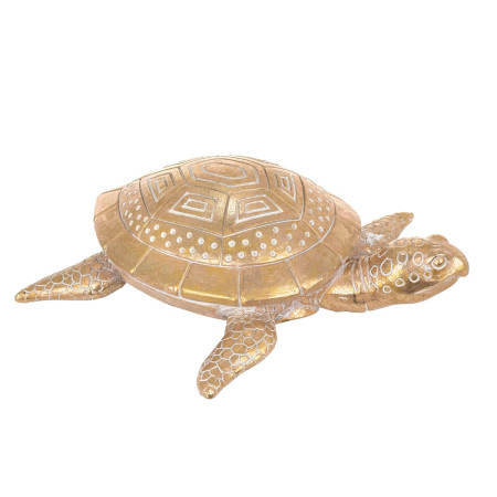 Tortuga