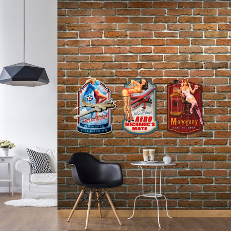 OFERTA *placa pared 2