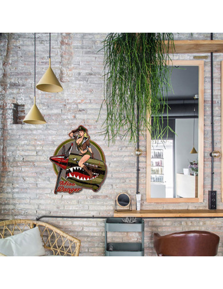 OFERTA *placa pared