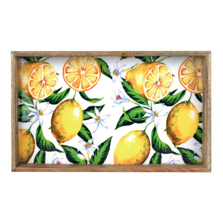 Bandeja rect.limones 2