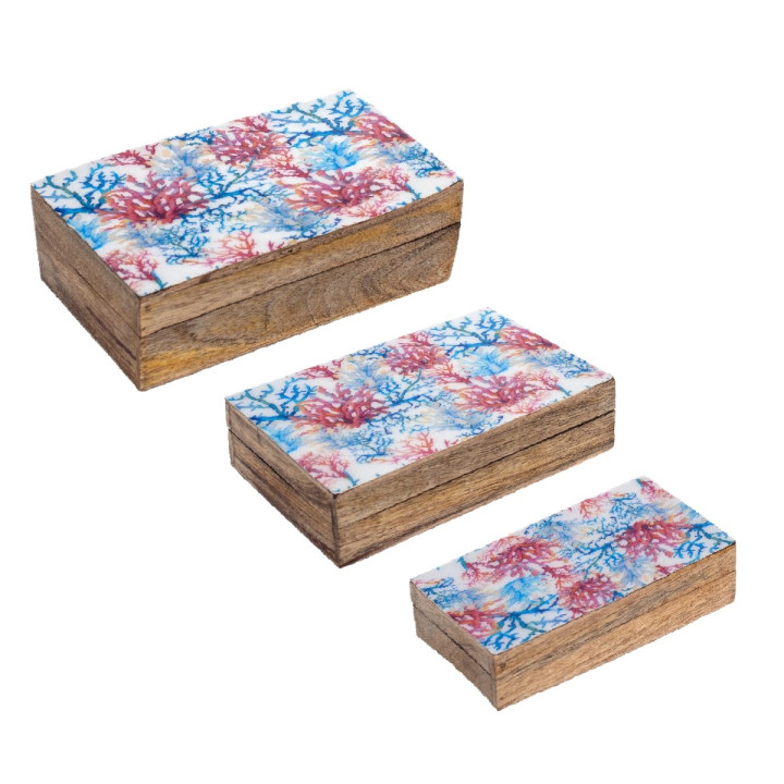 S/3 cajas coral
