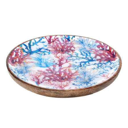 Plato coral