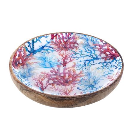 Plato coral