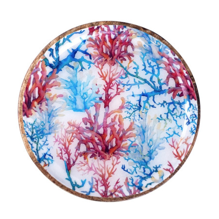 Plato coral 2