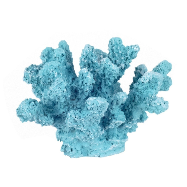 Coral