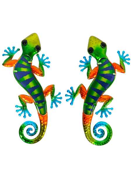 OFERTA *lagarto