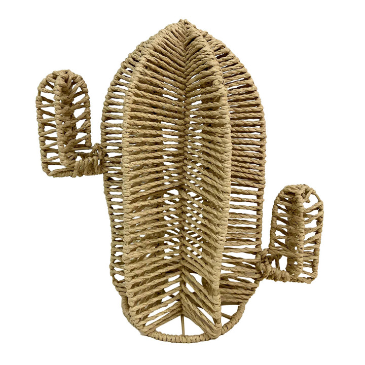 OFERTA *cactus