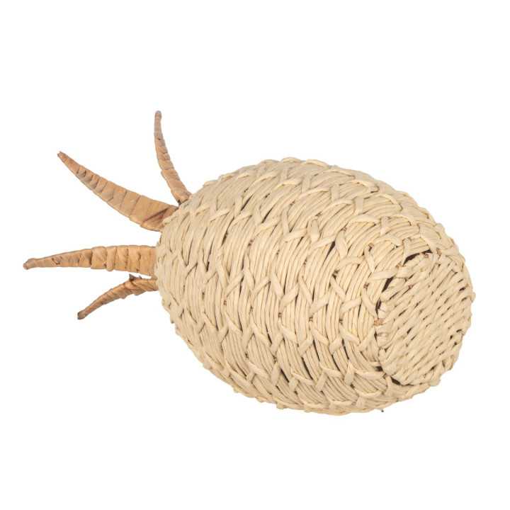 Piña gr.