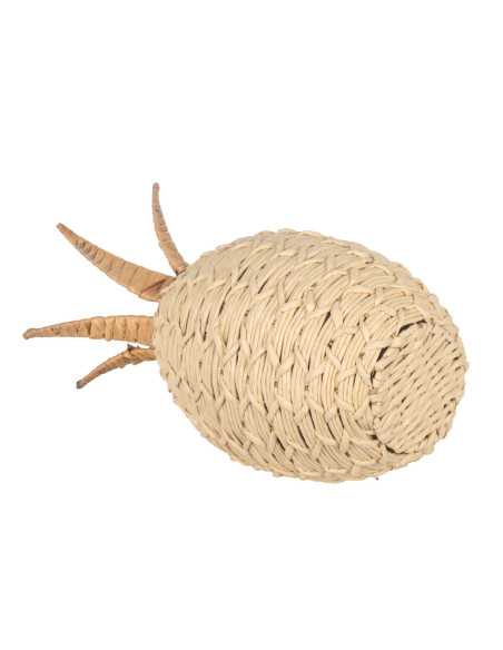 Piña gr.