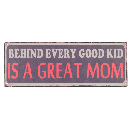 OFERTA *placa pared 13x36cm.