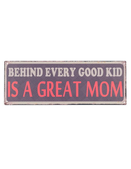 OFERTA *placa pared 13x36cm.
