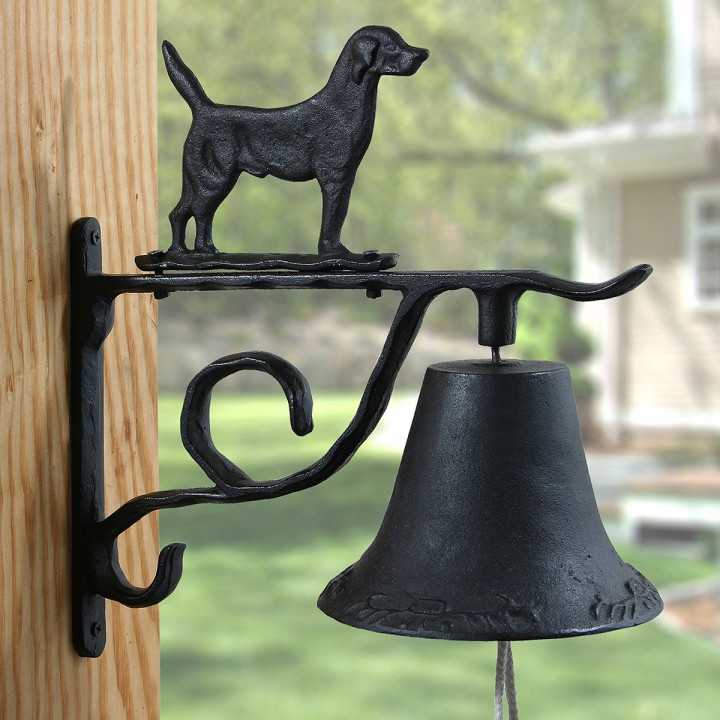 Campana perro