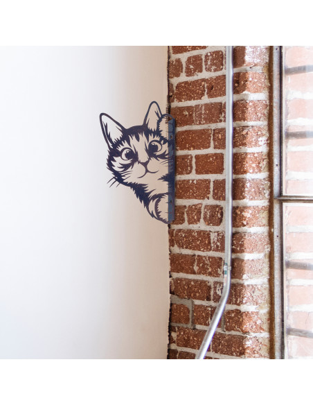 Adorno gato