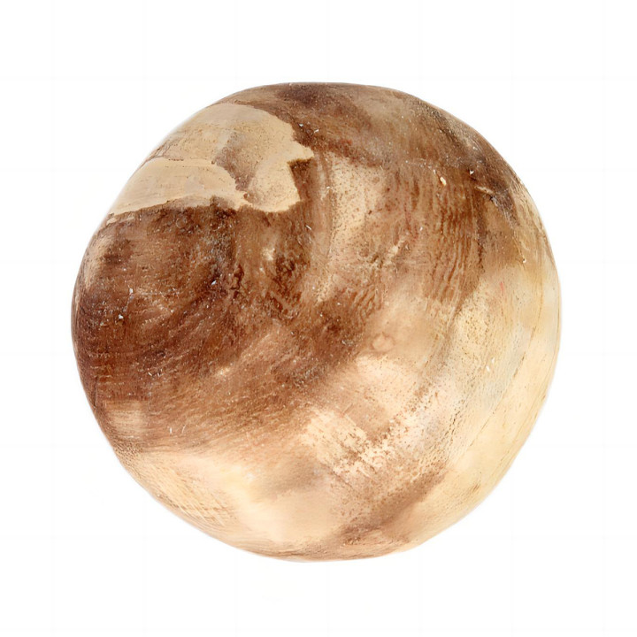 Bola