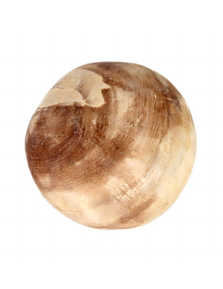 Bola