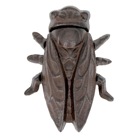 Insecto