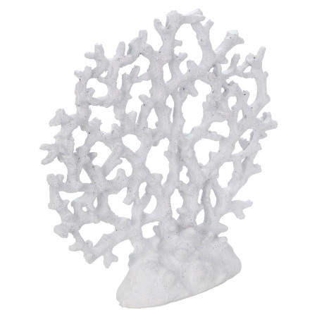 Coral 2
