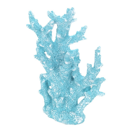 Coral 2
