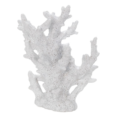 Coral 2