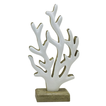 Coral