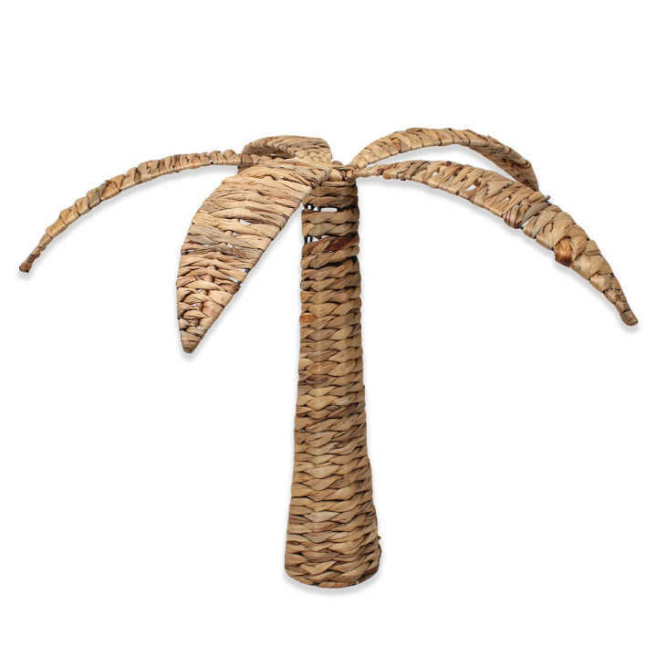 Palmera
