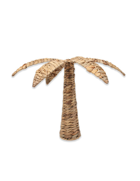 Palmera