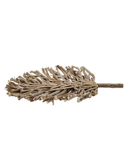 OFERTA *hoja