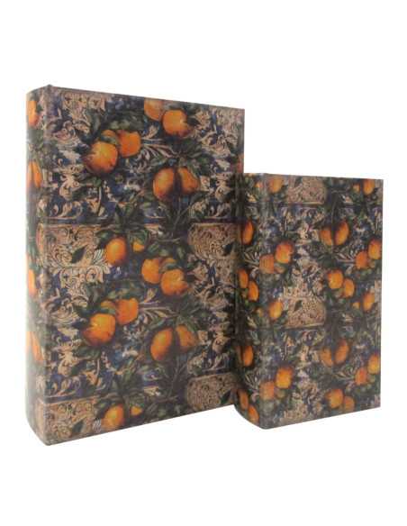 S/2 caja libro limones