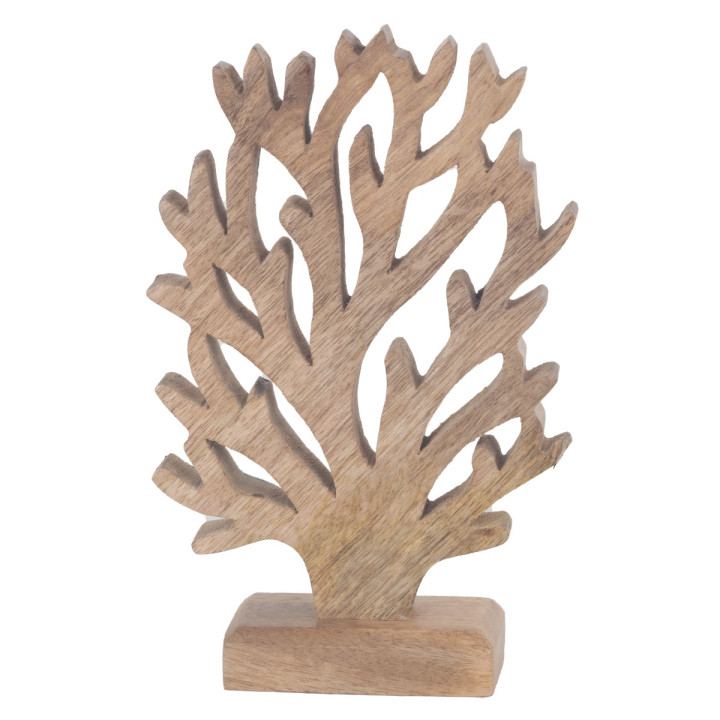 Coral peq.