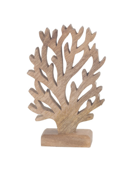 Coral peq.