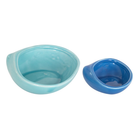 OFERTA *s/2 cuencos concha