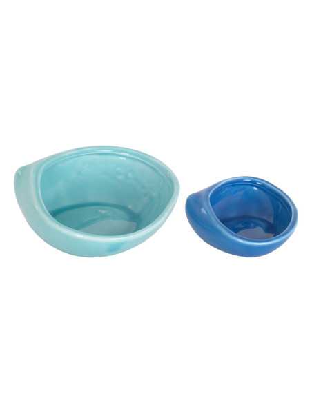 OFERTA *s/2 cuencos concha