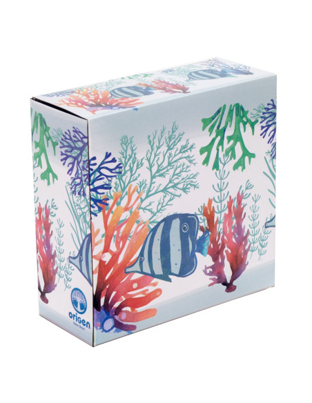 Plato hondo pez c/caja regalo