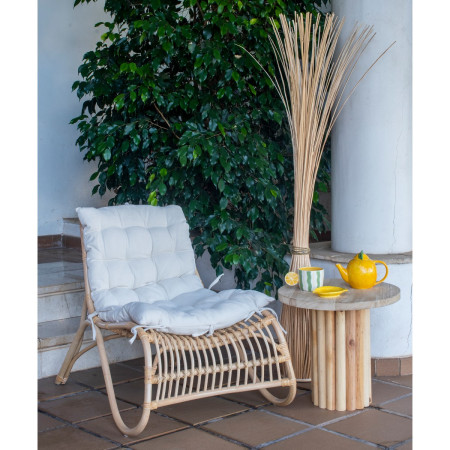 Rama decorativa de sauce 2