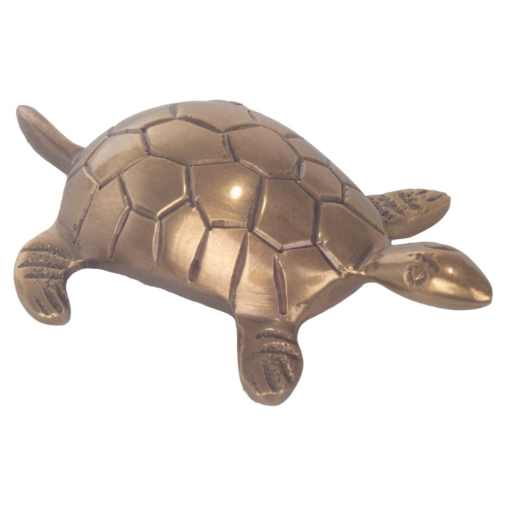 Pisapapel tortuga