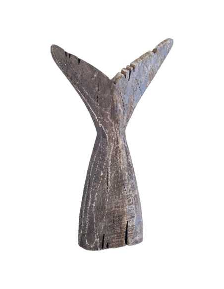 Cola ballena gra.