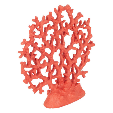 Coral 2