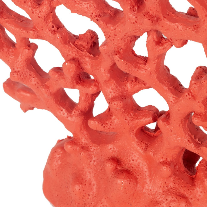 Coral