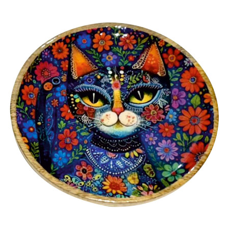 Plato gato gra.